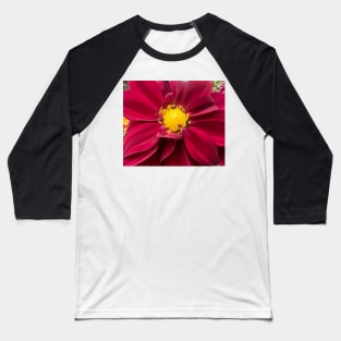 Dimensional Red Radiance of the Dahlia Baseball T-Shirt